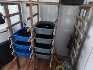 Worm Condo wood shelving